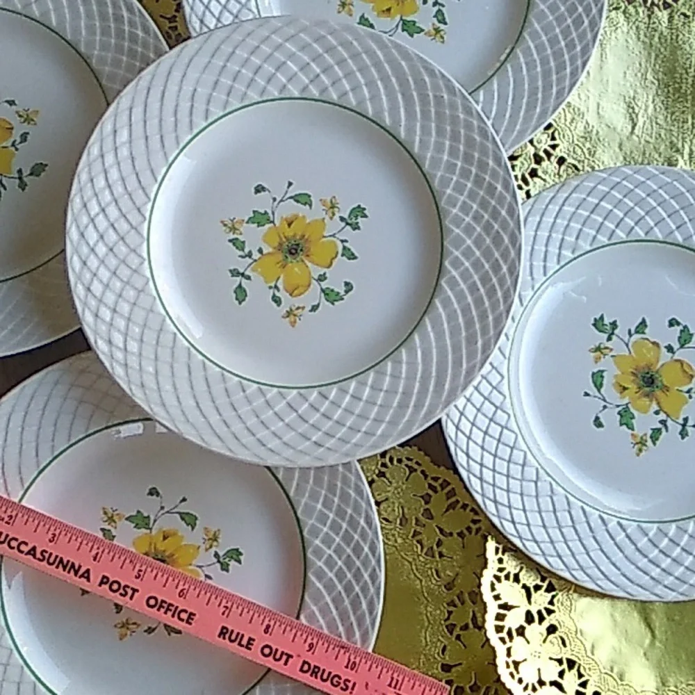 🕊️ Wedgwood Devotion Fine Bone China PLATE 8
